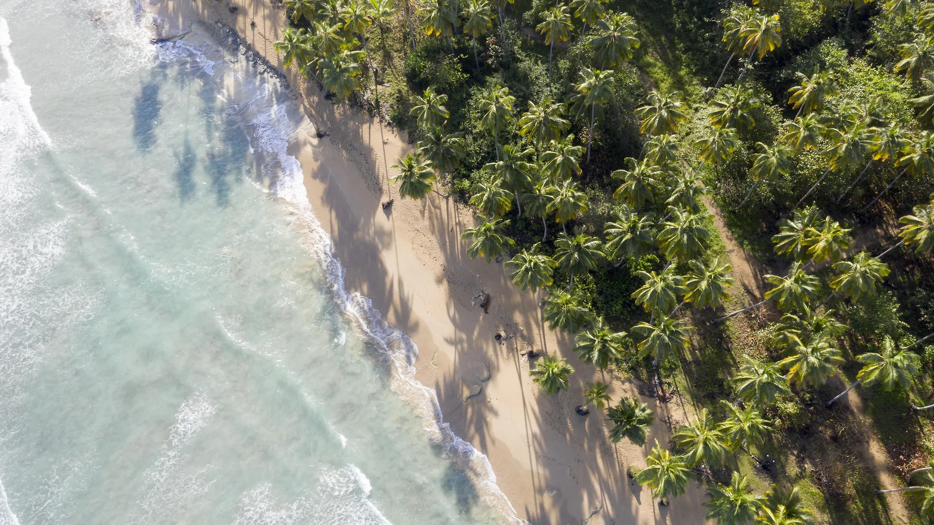 Saman Boutique Hotel Las Terrenas Station touristique